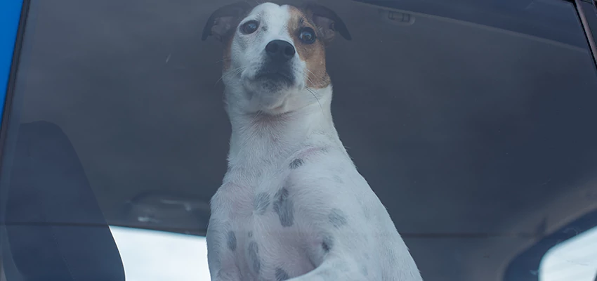 Car Lockout Solutions in Ladera Ranch, California